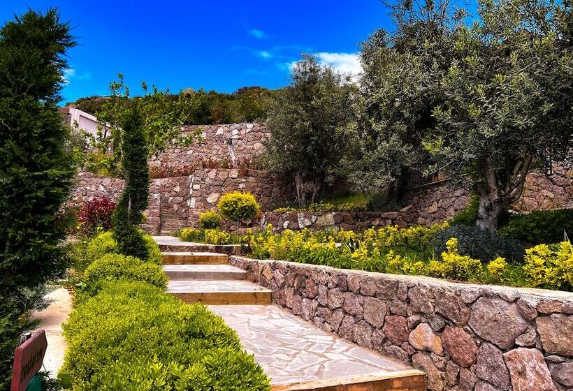 Bed and Breakfast Assos Longevity