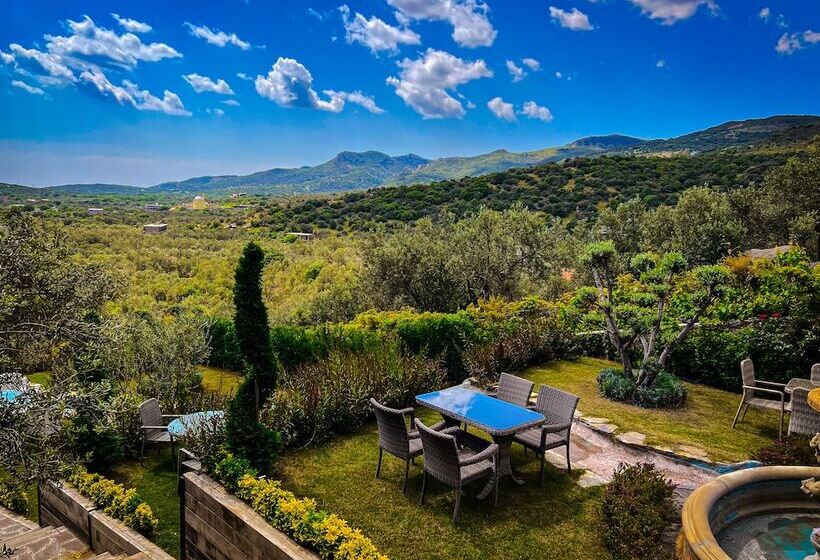 Bed and Breakfast Assos Longevity