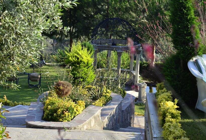 Bed and Breakfast Assos Longevity