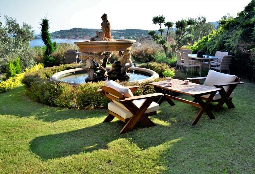 Bed and Breakfast Assos Longevity