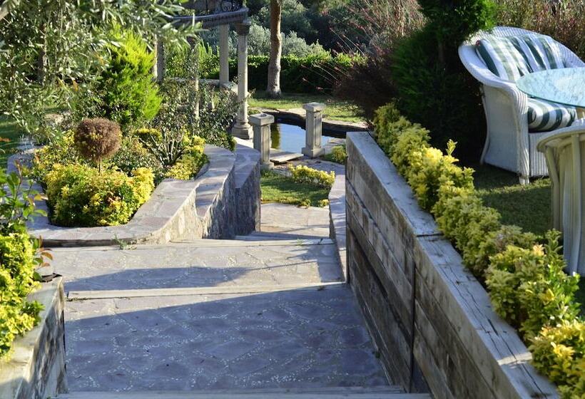 Bed and Breakfast Assos Longevity