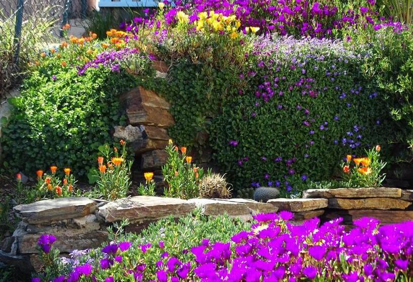 住宿加早餐 La Patarse Chambres Vue Mer