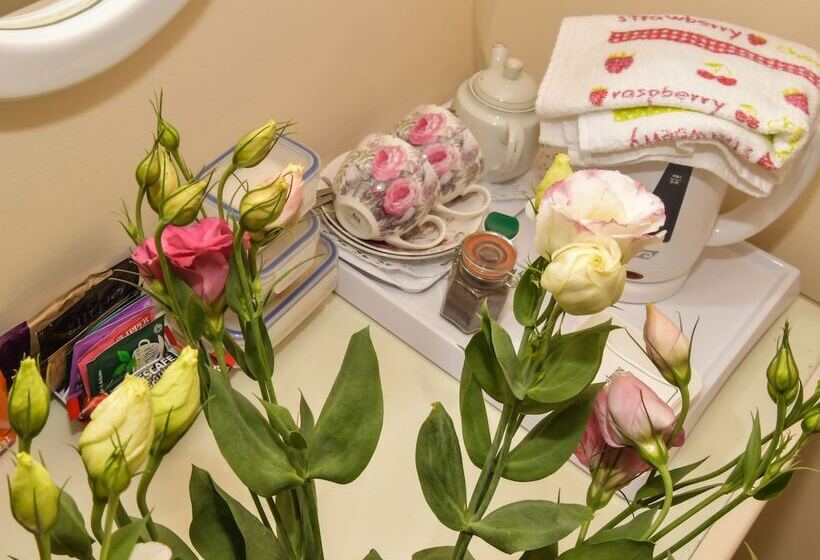 ベッドアンドブレックファースト Erris Villa