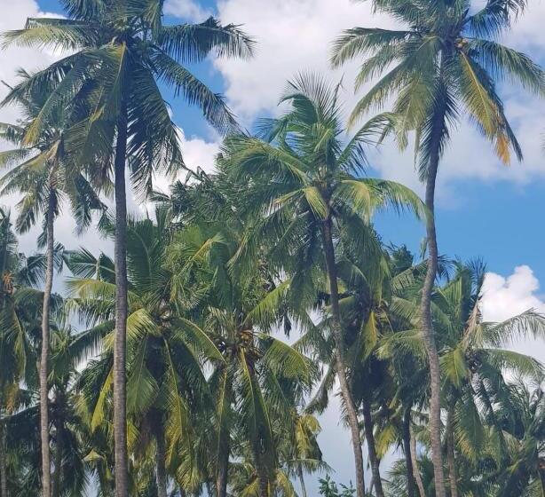 تختخواب و صبحانه Green S Nungwi