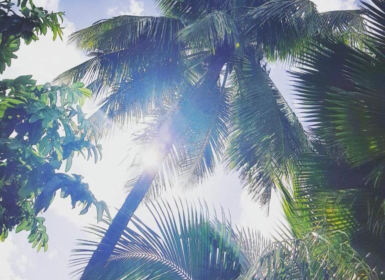 تختخواب و صبحانه Green S Nungwi