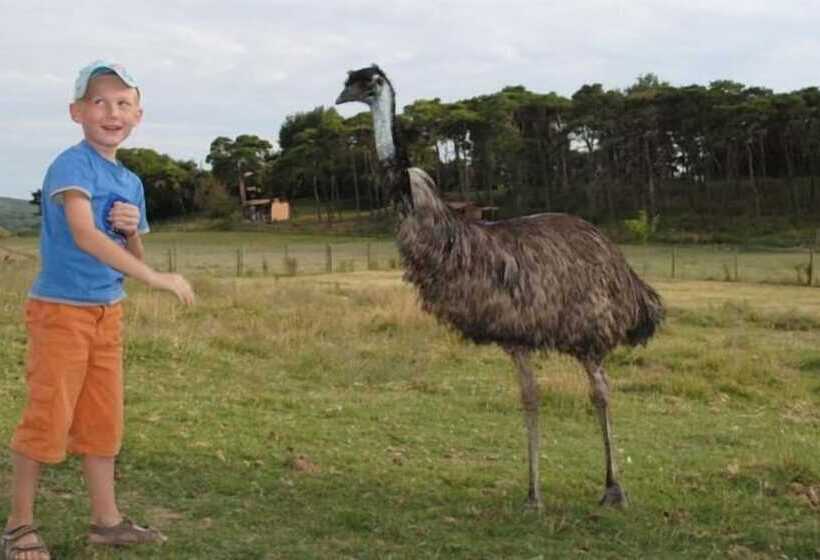 Chambres D Hôtes Domaine Du Bas Chalus