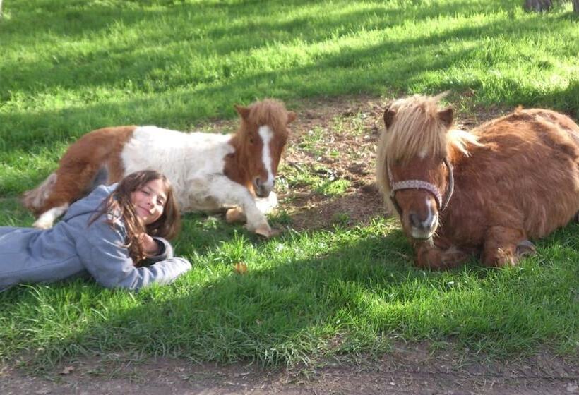 Chambres D Hôtes Domaine Du Bas Chalus