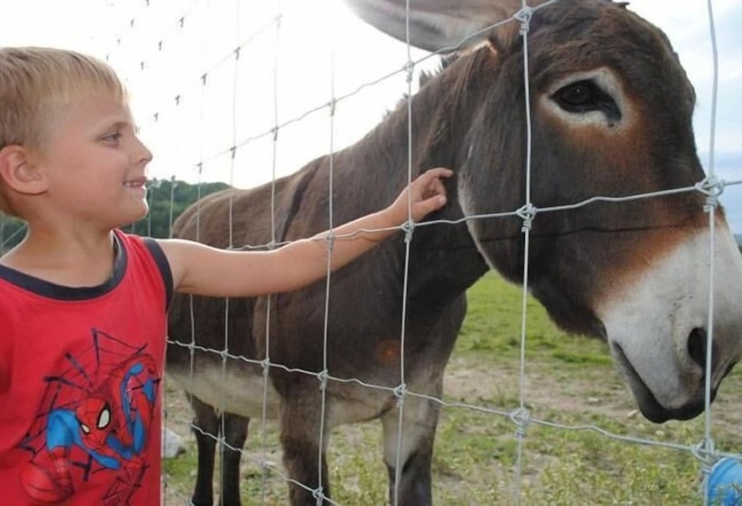 Chambres D Hôtes Domaine Du Bas Chalus