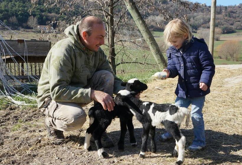 Chambres D Hôtes Domaine Du Bas Chalus