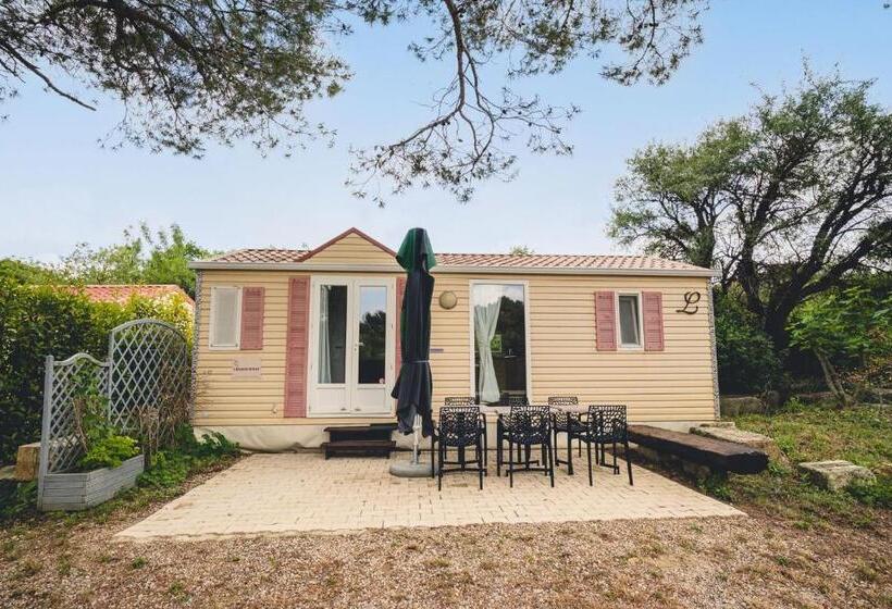 Château Saint Martin De Graves