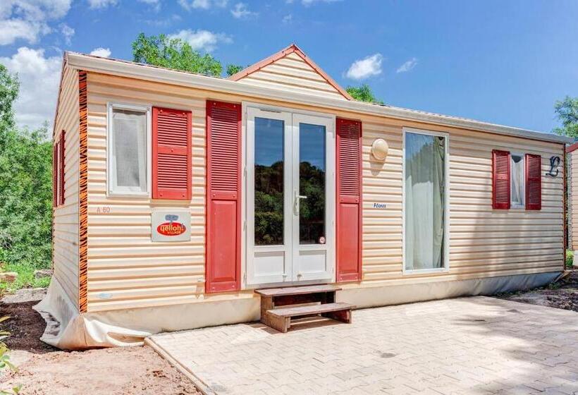 Château Saint Martin De Graves