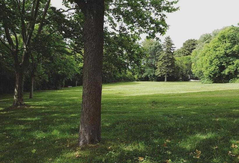 Château Saint Martin De Graves