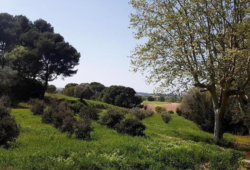 Château Saint Martin De Graves