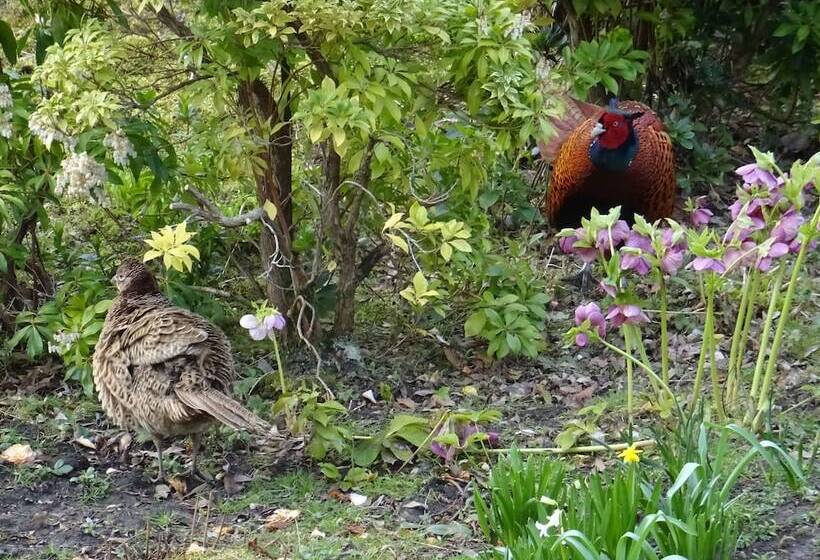 Grendon Bed & Breakfast