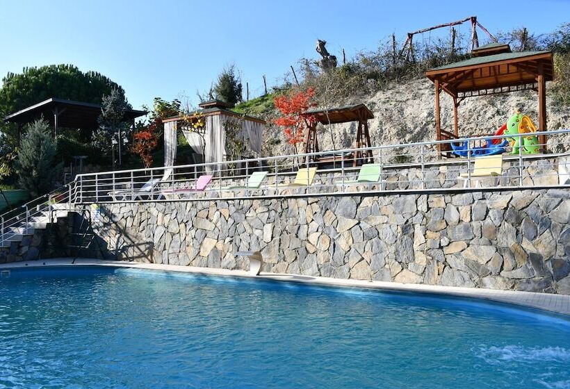 ホテル Castle Nolana