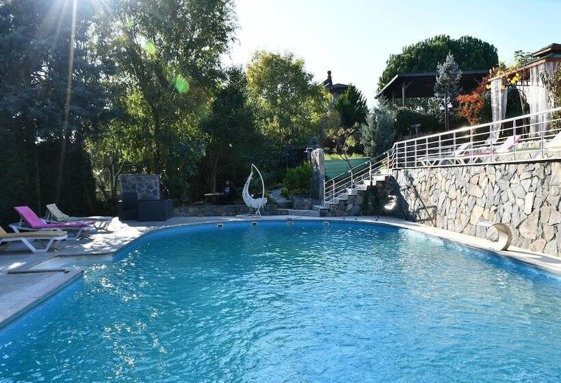 ホテル Castle Nolana