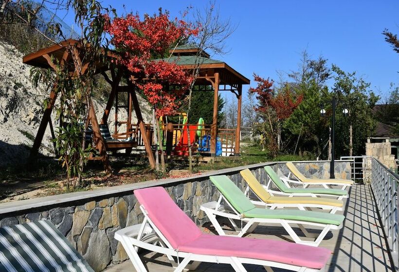 ホテル Castle Nolana