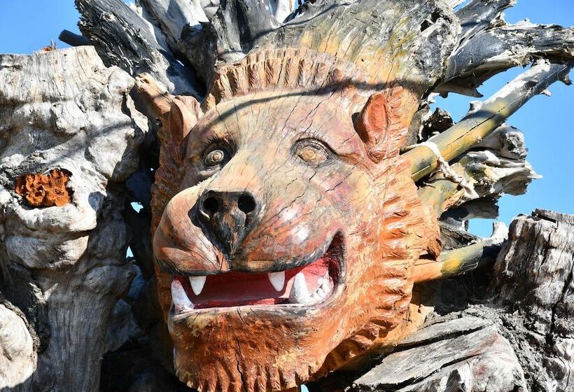 ホテル Castle Nolana