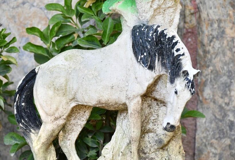 ホテル Castle Nolana