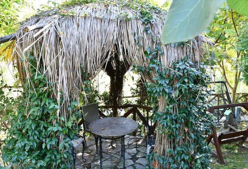 ホテル Castle Nolana