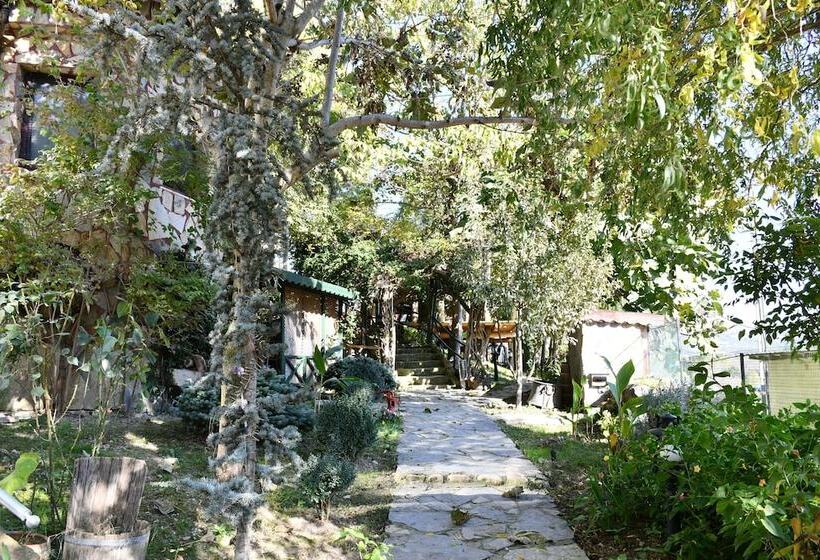 ホテル Castle Nolana