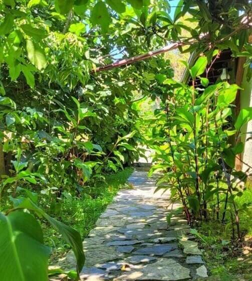 ホテル Castle Nolana