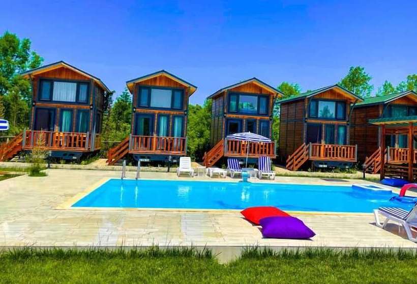 ホテル Castle Nolana