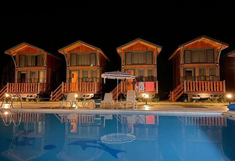 ホテル Castle Nolana