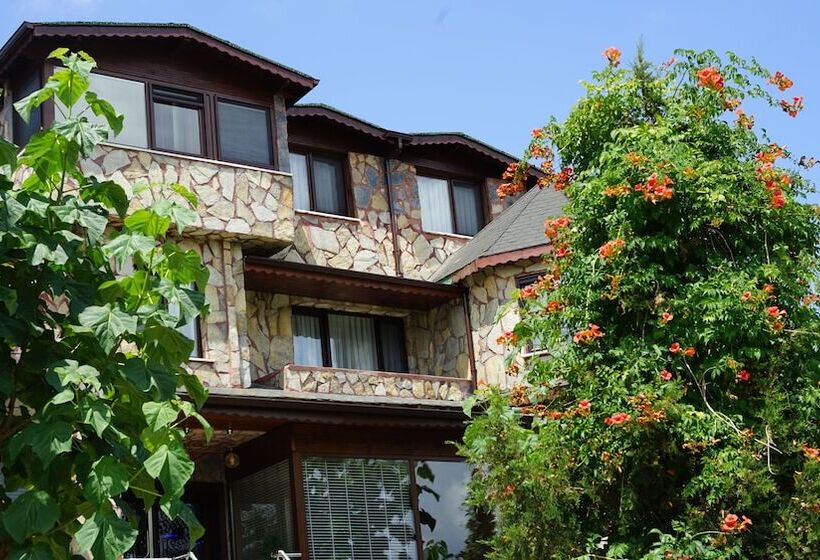 ホテル Castle Nolana