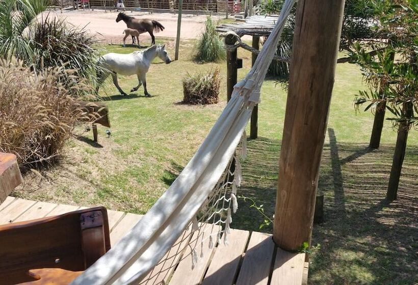 호텔 Las Casquivanas