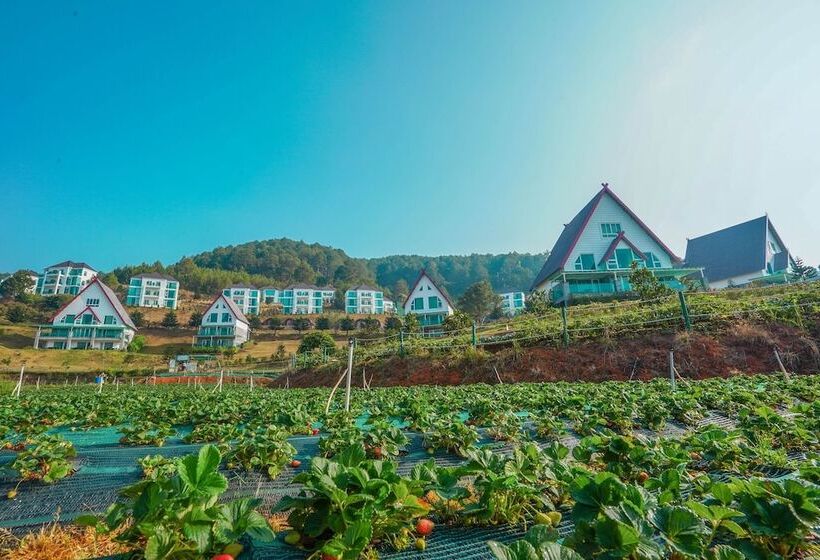 هتل Dalat Wonder  Resort
