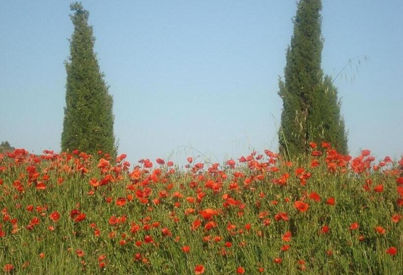 酒店 Domaine De Campras B&b