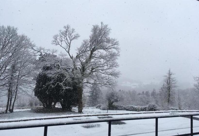 ホテル Gwesty Seren