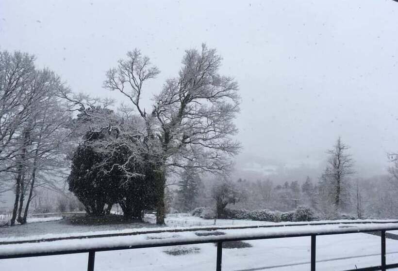 ホテル Gwesty Seren