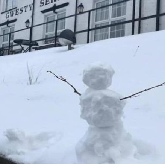 ホテル Gwesty Seren