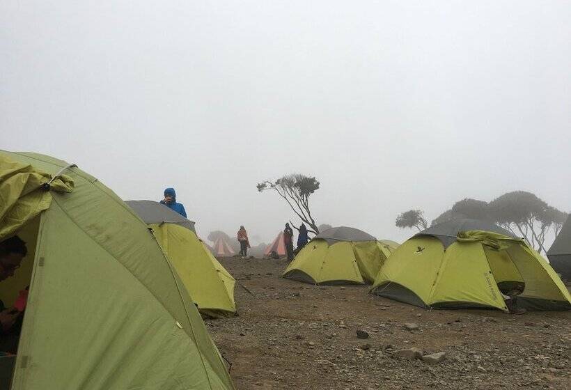 酒店 Kilemakyaro Mountain Lodge