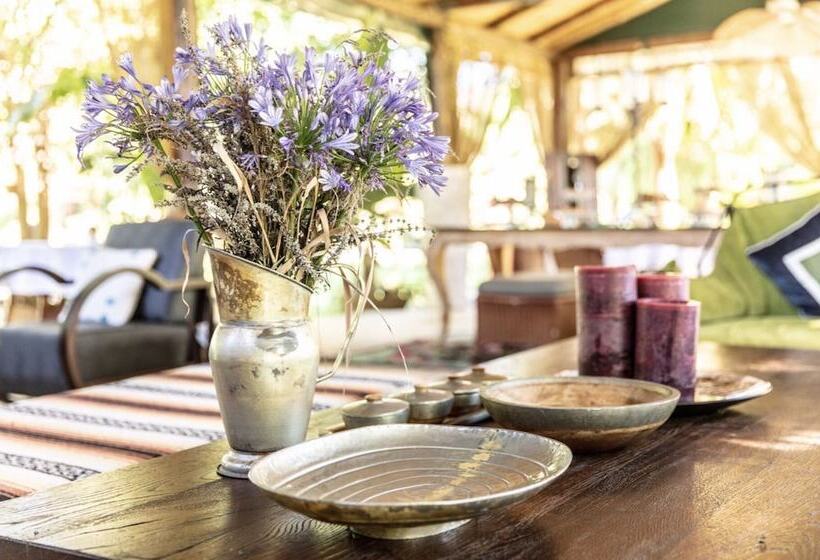 Отель Layla Gocek Adults Only