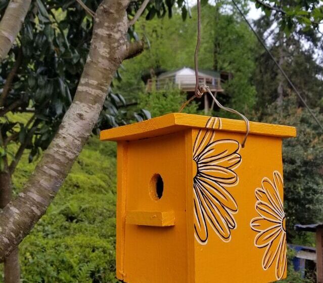 Отель Olimbera Köy Evi