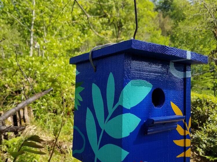 هتل Olimbera Köy Evi