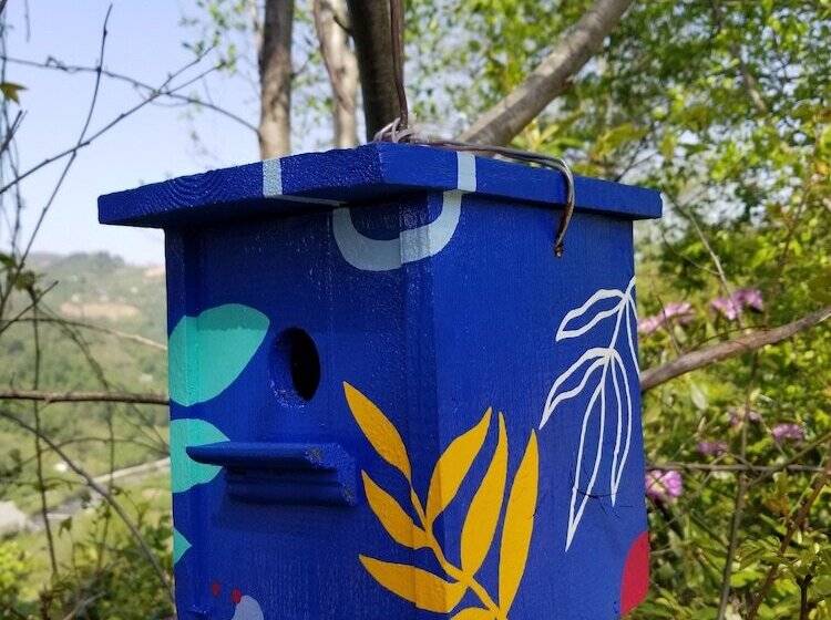 Отель Olimbera Köy Evi