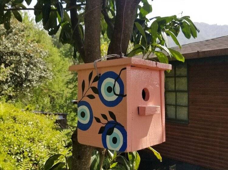 Отель Olimbera Köy Evi