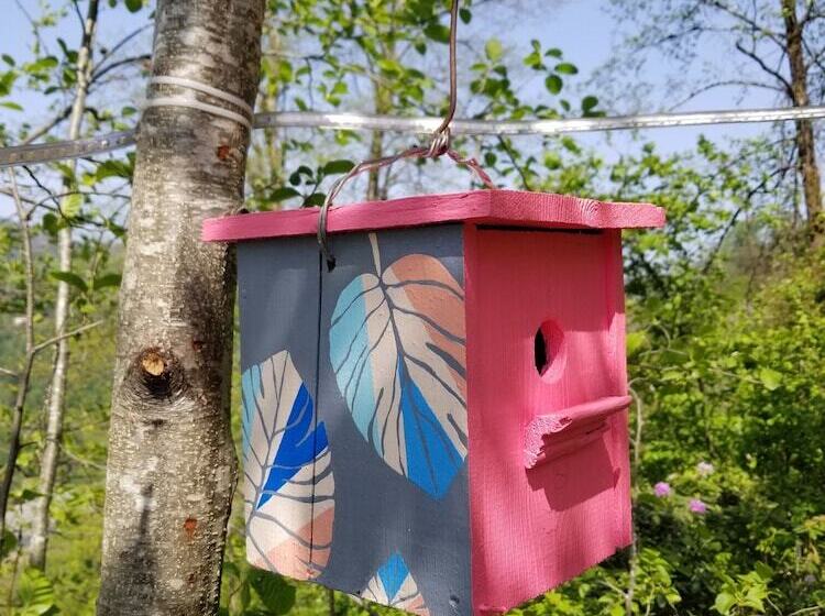 Отель Olimbera Köy Evi