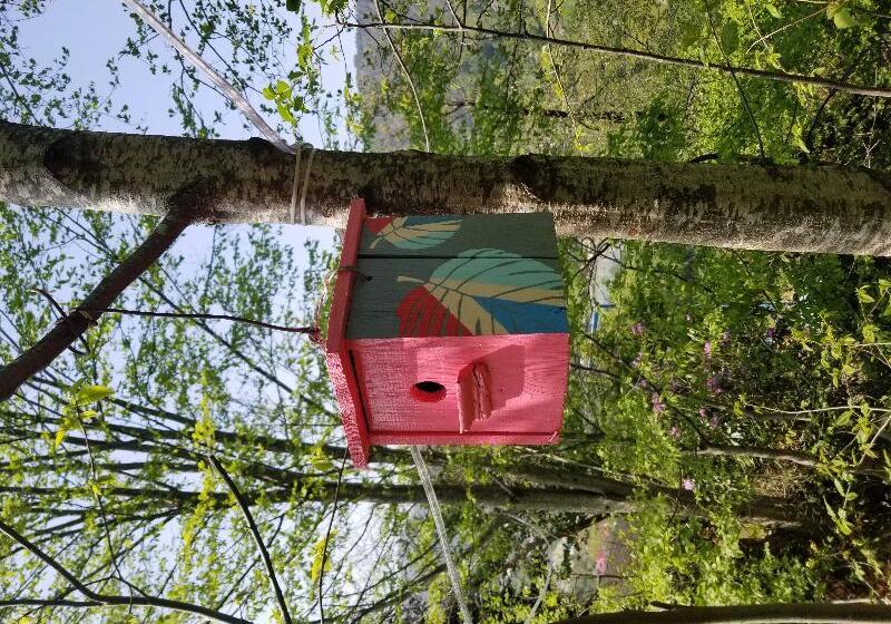 Отель Olimbera Köy Evi