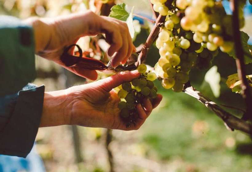 فندق The Flint Barns