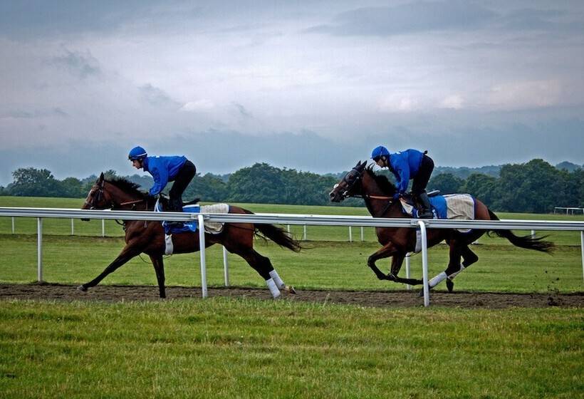 酒店 The Jockey Club Rooms