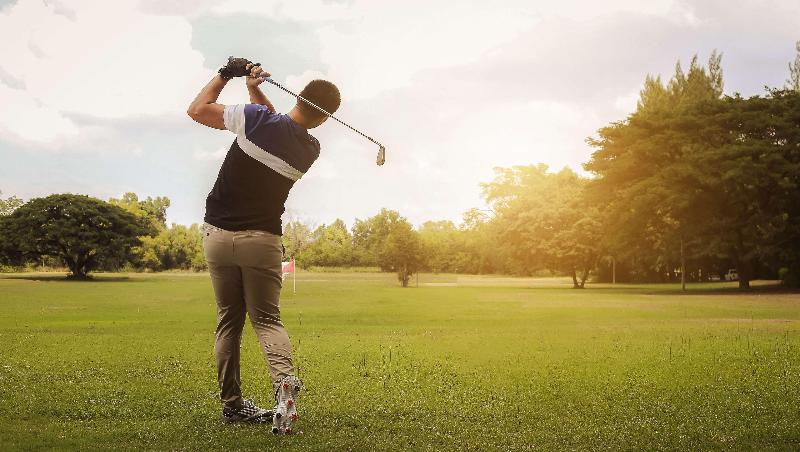 모텔 Hampton Motor Inn