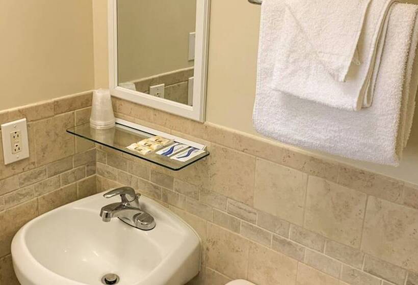 모텔 Hampton Motor Inn