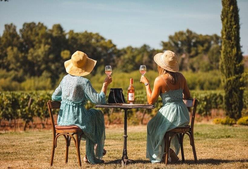 Пансион Chateau Saint Roux Le Lucle Cannet Des Maures