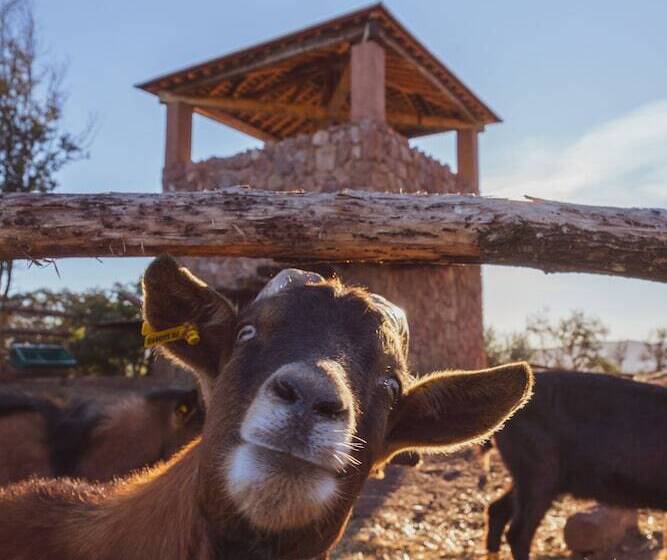 Пансион Chateau Saint Roux Le Lucle Cannet Des Maures