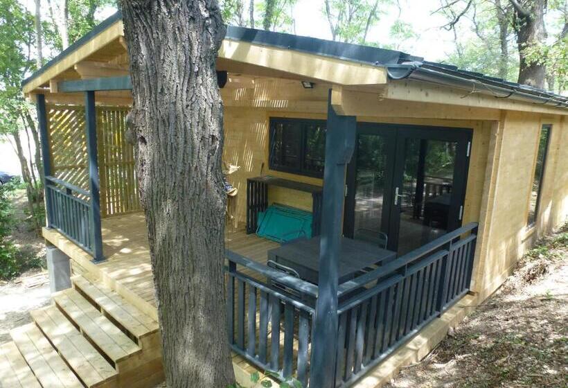 بنسيون Des Branches & Vous